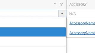 DevExpress XAF LookupCascade Xpand module