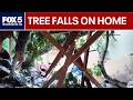 Maryland woman narrowly escapes as tree crashes into home