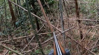 逃走する巨大雌猪を・・・