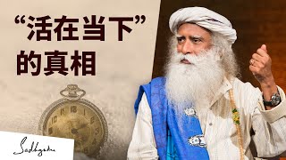 关于“活在当下”的真相㊙️🔍 | Sadhguru 萨古鲁