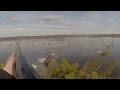 охота на гуся на болотах