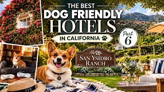 SAN YSIDRO RANCH a TY Warner Property The BEST dog friendly hotel in California PT 6