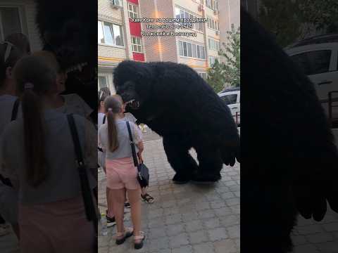 Гарилла напугала всех🔥 мальчика удивили в День Рождения 😯 #гариллавволжском #кингконгволжский