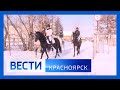 ВЕСТИ Красноярск выпуск 09 февраля 2022