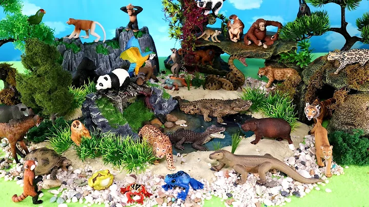 Jungle Diorama and Wild Animal Figurines - Learn Animal Names