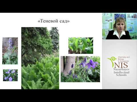 Биология. Учитель: Чайка С.В.