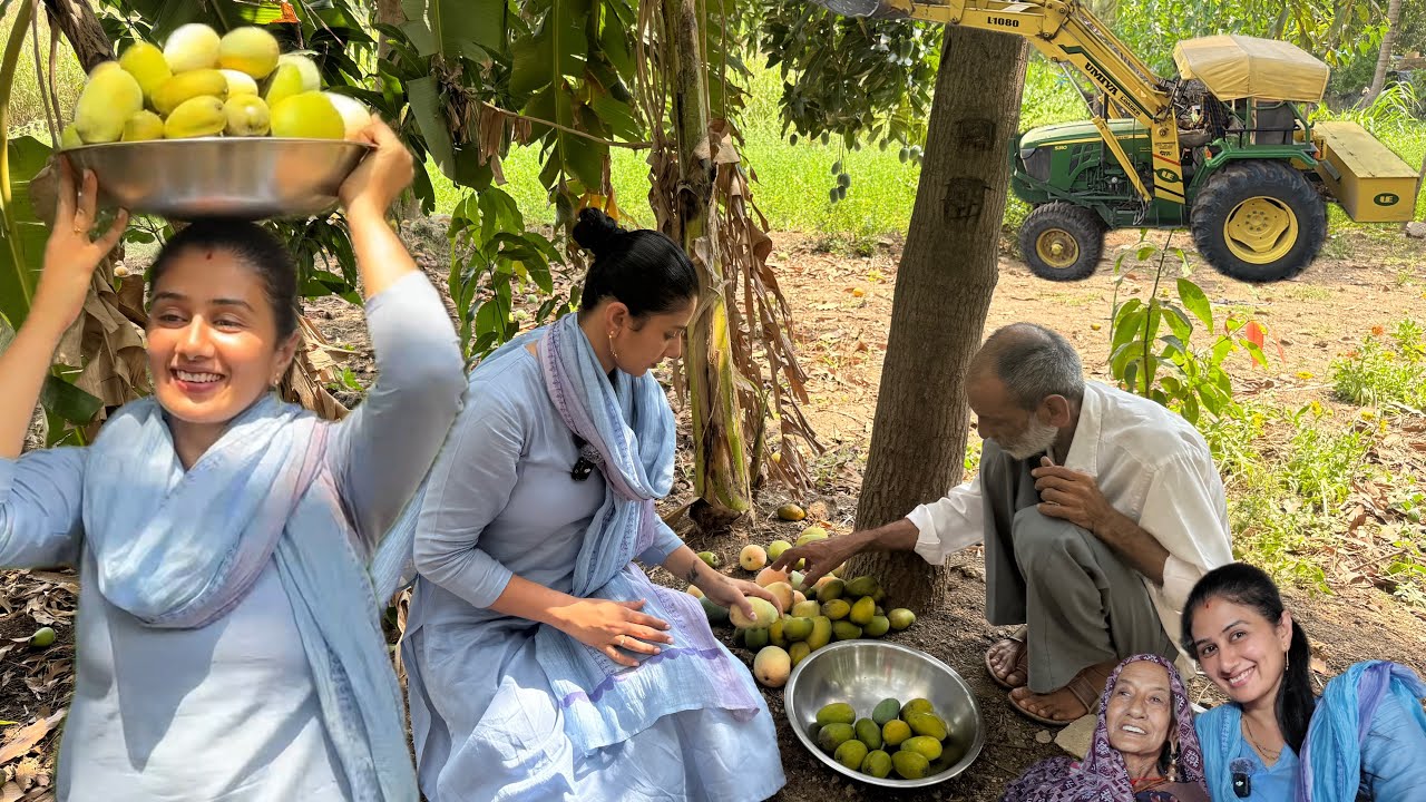 Maa ke pass gae ajj me or bahot sare mangoes