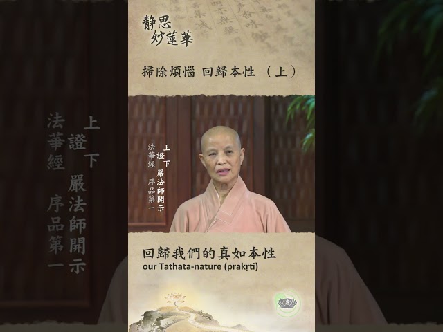 🏯【靜思妙蓮華｜第113集：掃除煩惱 回歸本性（上）】
