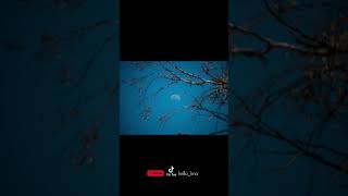 Elsya Ft Aan  Trauma Cover By Michela Thea shorts yearofyou hello kna hellokna cover trauma