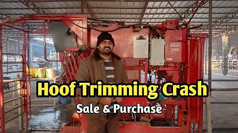 Hoof Trimming Crush Machine Sale & purchase | How ...