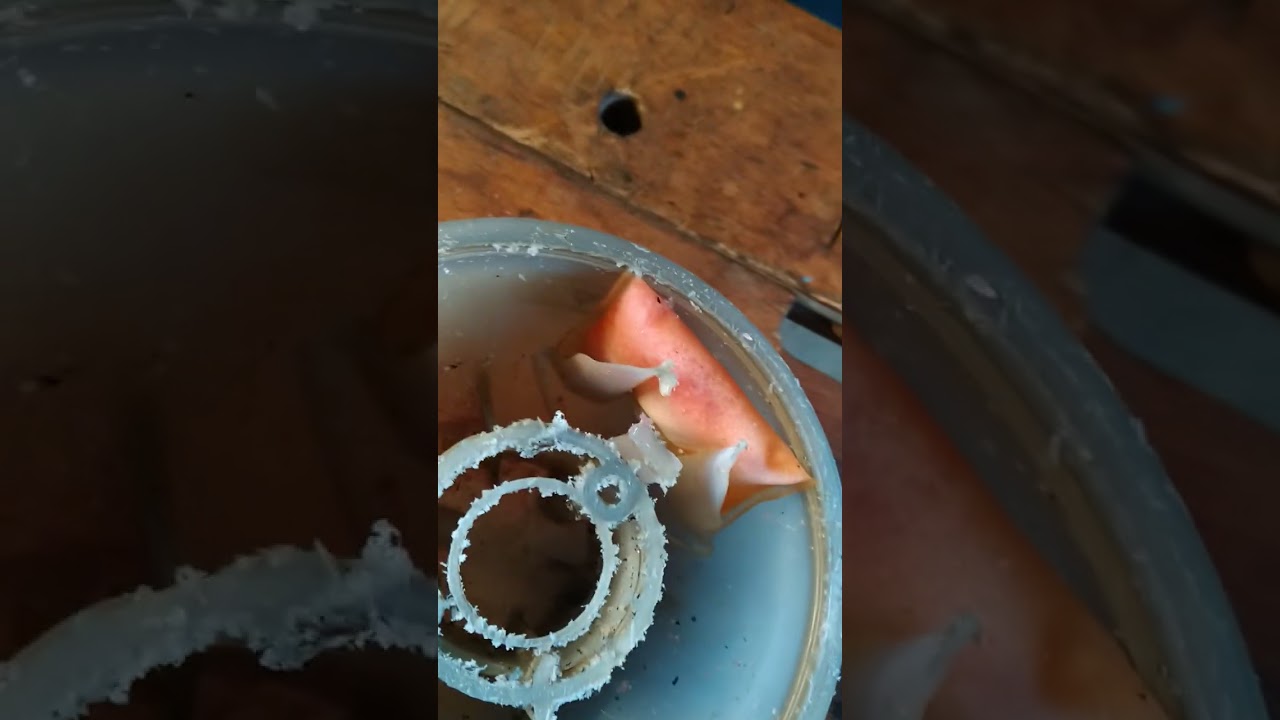 Kühlmittel G12 EVO stattG13