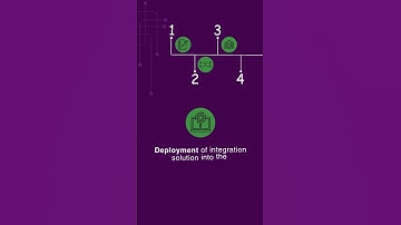Salesforce Integration Process by Plumlogix