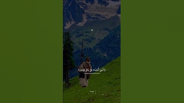 اكتب شيئ تؤجر عليه 🖤🎧 #قرآن #قرآن_كريم #تلاوة #سورة #خاشعة #مكة #مكة_المكرمة #السعودية #سورة#quran