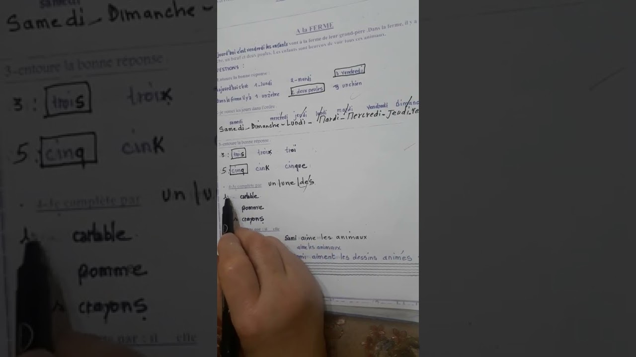 3èmeAP:composition du 2ème trimestre:À la ferme