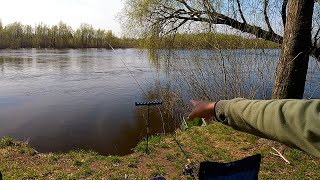 Рыбалка на фидер в водовороте!!! Рыба и тракторист сошли с ума! Рыбалка на Десне весной 2023