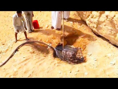 What a Man Discovered in Egypt Shocked the Whole World