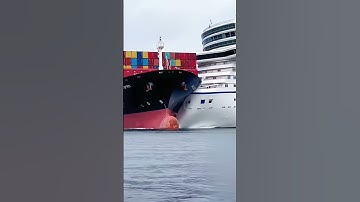 Cruise Ship Collides with Cargo Vessel While Entering the Dock!