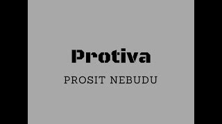 Protiva - Prosit nebudu/text