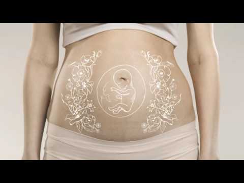 Video: 14 Uger Gravid