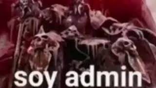 Soy admin