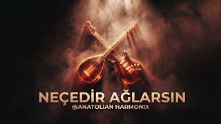 Neçedir Ağlarsın (Cover) - Anatolian Harmonix