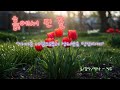 가까운 사람으로부터 상처받은 당신에게 #관계의상처 #마음의치유 #가까운사람 #상처치유 #위로에세이 #회복의시간 #상처후성장 #마음속빈자리 #말한마디 #위로가필요할때 #흙에서핀꽃