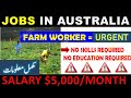 Australia started new farm worker visa | 2020 | Australia farm worker visa | Australia jobs | Salary