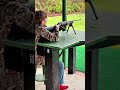 POV shooting steel on the range!
