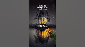 تلاوة خاشعة من سورة الملك #قرآن #اكسبلور #اكسبلور #تلاوة_خاشعة