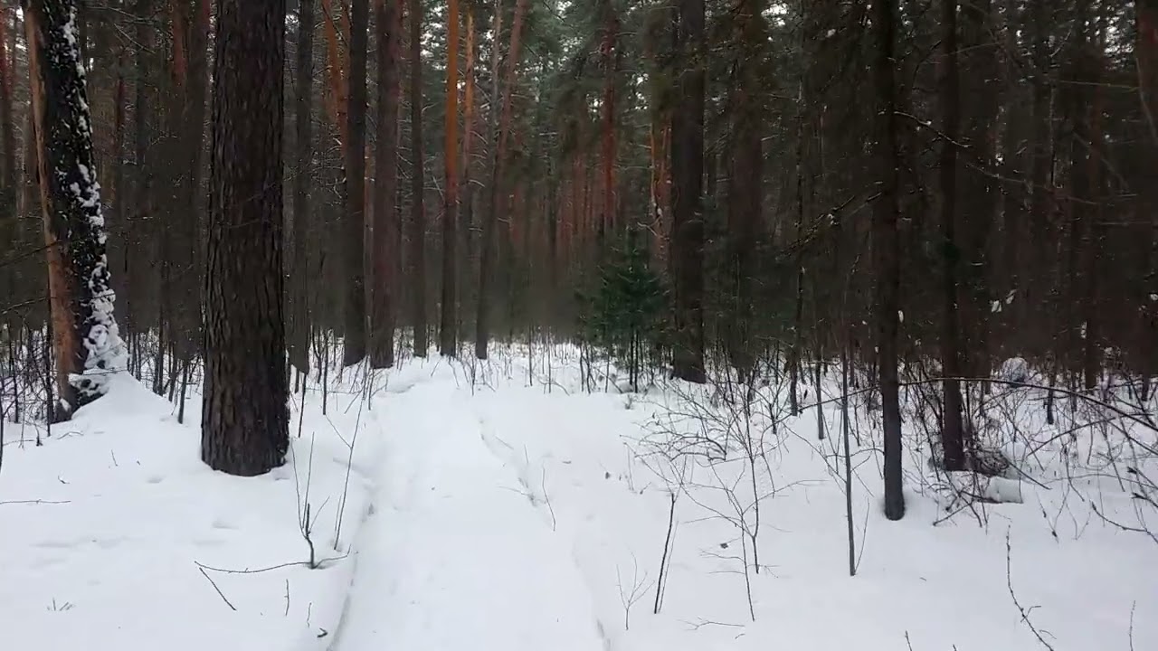 Мотивация = иллюзия. Причина не в ней.