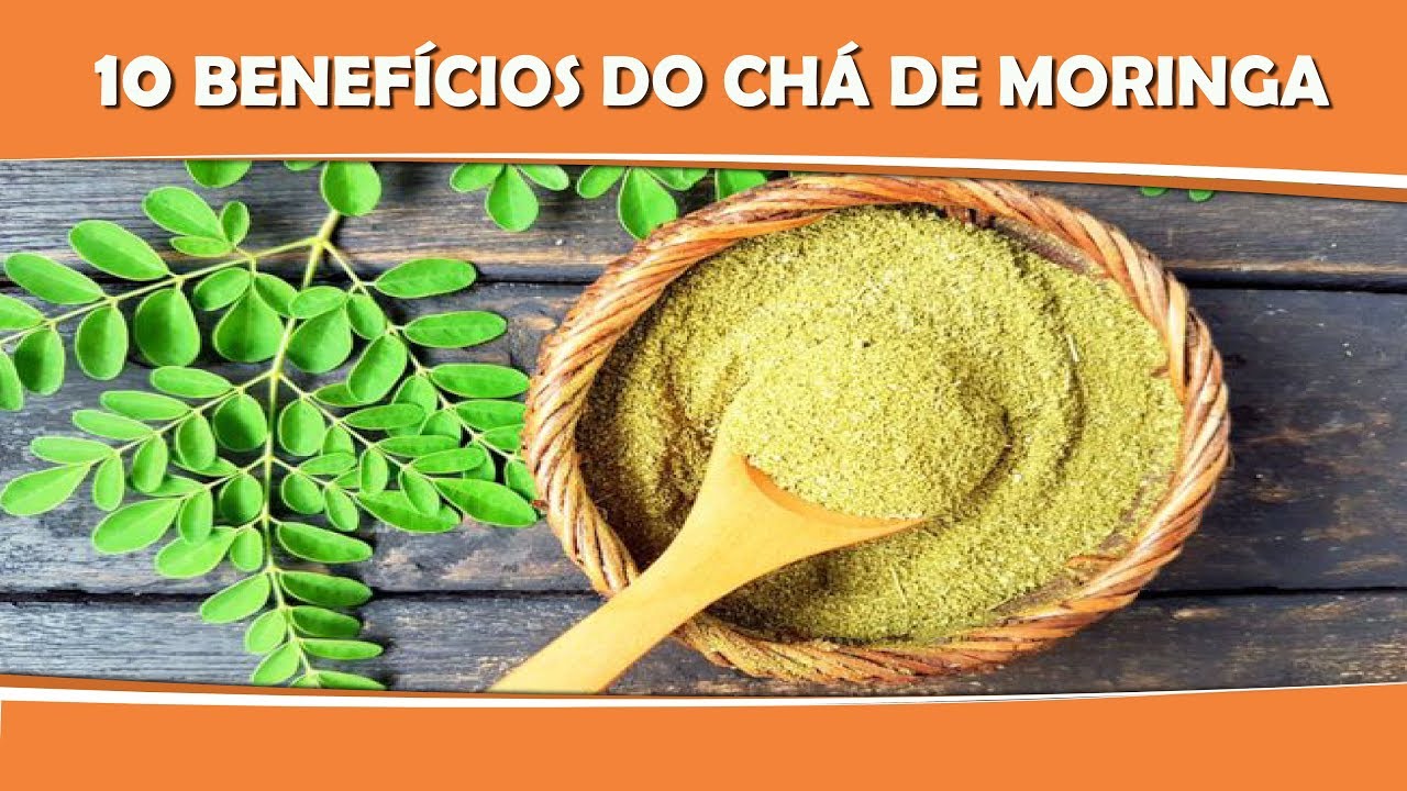 10 BENEFÍCIOS DO CHÁ DE MORINGA PARA SAÚDE | FITZANDO A VIDA - YouTube