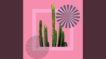 Sprightly Backdrops for Redefined Vibes