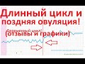 💥Поздняя Овуляция и 🗓Длинный Цикл ⏰(+Отзывы и Графики БТ беременных!)