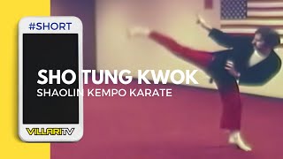 Shaolin Kempo Karate - Rare 1970s Footage of Fred Villari #short screenshot 4