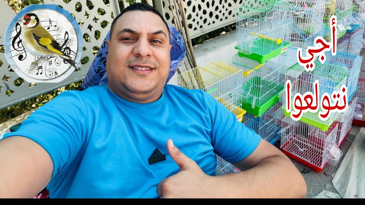 سوق الطيور🦜🦜 بمدينة مكناس 🇲🇦اجي تولعوا معنا::0619227462