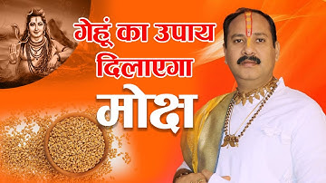 गेहूं का उपाय दिलाएगा मोक्ष II Pandit Pradeep Mishra II Sanatan Dharma II