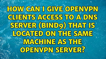 How can I give openvpn clients access to a dns server (bind9) that is located on the same...