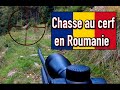 CHASSE AU CERF EN ROUMANIE (un rêve qui tourne au cauchemar)