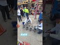這就是台灣三大炮之一的 北港犁炮