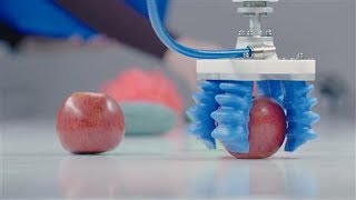 Famous What Picking Up an Apple Tells You About the Future of Robotics Net Worth