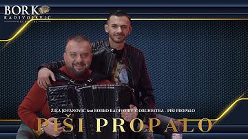 ŽIKA JOVANOVIĆ feat BORKO RADIVOJEVIĆ ORCHESTRA - PIŠI PROPALO