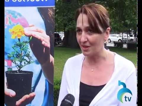 გარემოს დაცვის საერთაშორისო დღე ბორჯომში