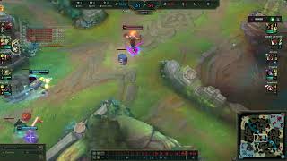 Ürkmüş Zeri Ve Hamster Yi