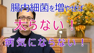 腸内細菌を増やせば太らない・病気にならない