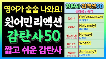 원어민 리액션 50개 한 번에 끝! 🔥영어 감탄사 50개