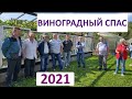 Виноградный Спас 2021 или юбилейная пятая встреча Подмосковных виноградарей М-8