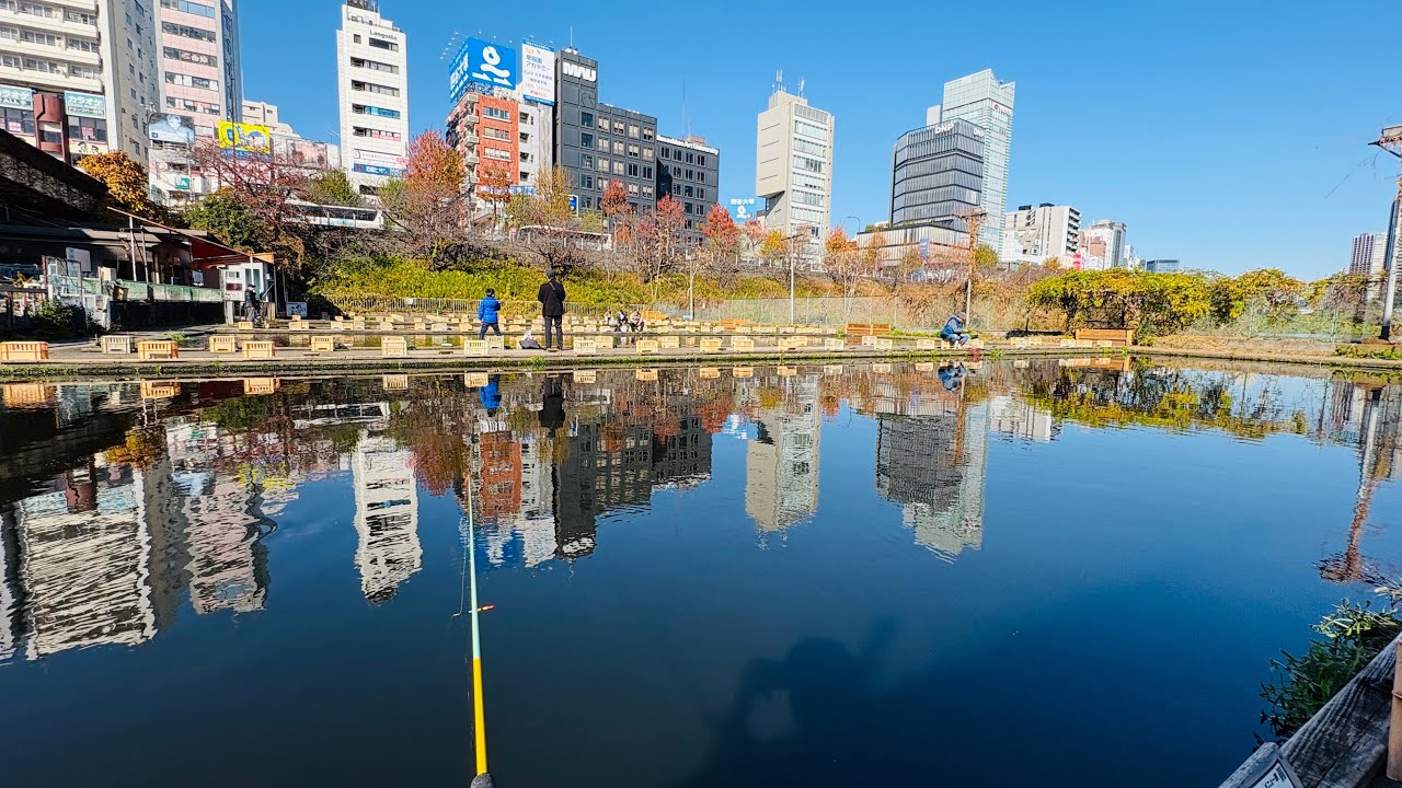 [Hooked on Tokyo] Ichigaya Fish Center experience