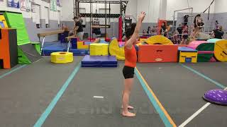 Aeon Recreational Class Advanced & Intermediate Skill Requirements