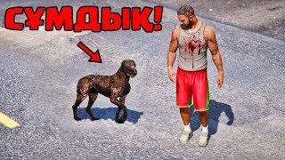 GTA 5 "Чоп ужас болып кеткен"