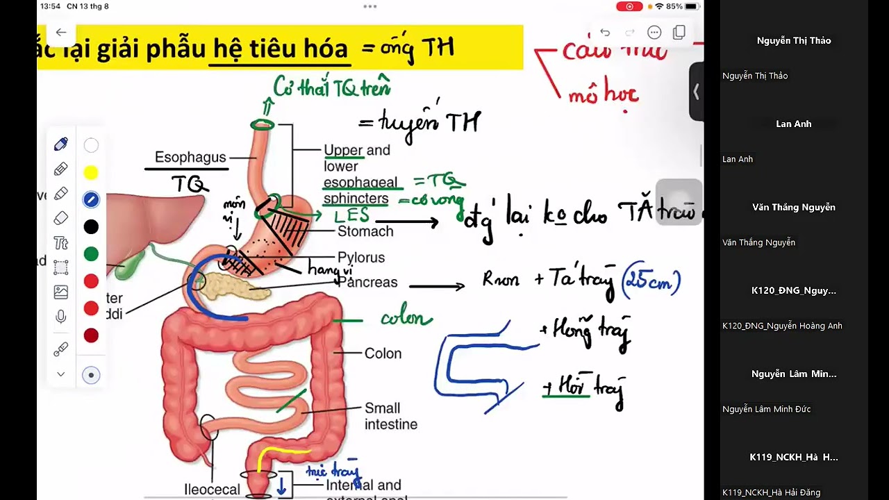 [ SINH LÝ TIÊU HOÁ PHẦN I]